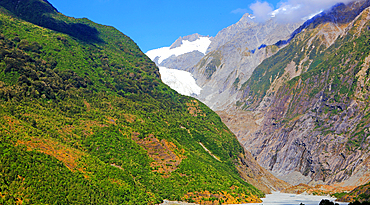 Fox Glacier, South Island, New Zealand