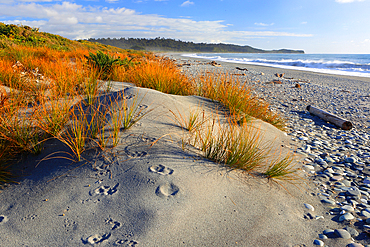 West Coast, New Zealand