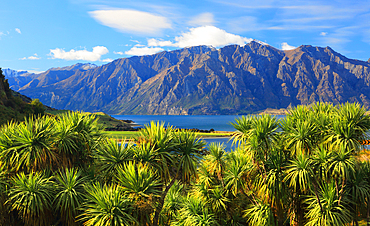 Lake Hawea, near Queenstown, South Island, New Zealand