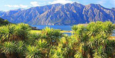 Lake Hawea, near Queenstown, South Island, New Zealand