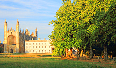 King's College Chapel from The Backs, evening light, Cambridge, England, UK