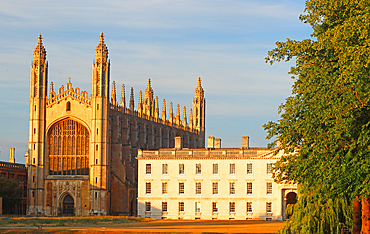 King's College Chapel from The Backs, evening light, Cambridge, England, UK