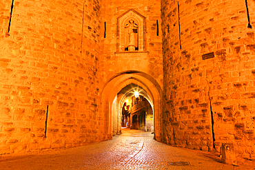 Medieval Walled City, Carcassonne, France