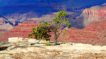 Grand Canyon from South Rim, Arizona, USA