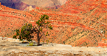 Grand Canyon from South Rim, Arizona, USA