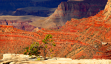 Grand Canyon from South Rim, Arizona, USA