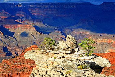 Grand Canyon from the South Rim, Arizona, USA