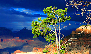 Grand Canyon from the South Rim, Arizona, USA