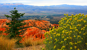 Bryce Canyon, Utah, USA