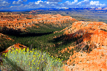 Bryce Canyon, Utah, USA