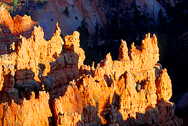 Bryce Canyon, Utah, USA