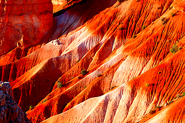 Bryce Canyon, Utah, USA