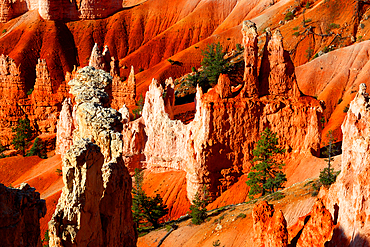 Bryce Canyon, Utah, USA