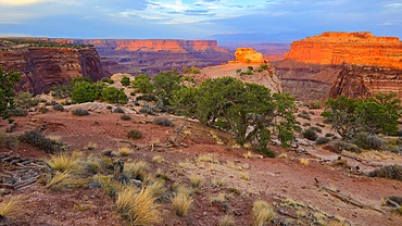 Canyonlands National Park, Utah, USA