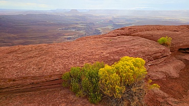 Canyonlands National Park, Utah, USA