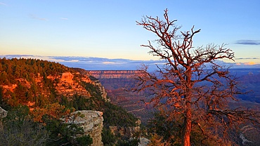 Grand Canyon, Arizona, USA