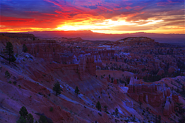 Summer sunrise over Bryce Canyon, Utah, United States of America, North America