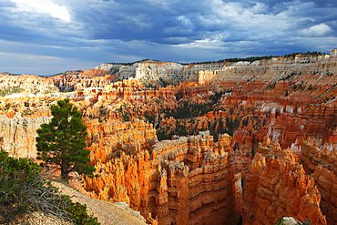 Looking towards Inspiration Point from near Sunrise Point, Bryce Canyon, Utah, United States of America, North America