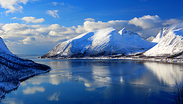 Senja island, Troms og Finnmark, north west Norway, Scandinavia, Europe