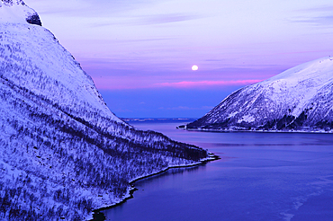 Senja island at dawn, Troms og Finnmark, north west Norway, Scandinavia, Europe