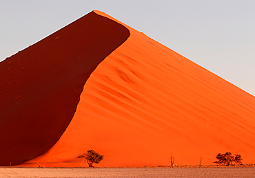 Dune 45, Sossusvlei, Namibia, Africa