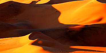 Sossusvlei, Namibia, Africa