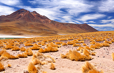 Atacama Desert Plateau, Chile, South America