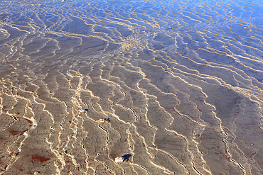 Mud, El Tatio Geyser Field, Atacama Desert Plateau, Chile, South America