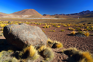 El Tatio Geyser Field, Atacama Desert Plateau, Chile, South America