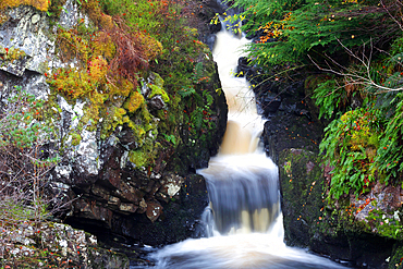 Rogie Falls, Ross-shire, Highlands, Scotland, United Kingdom, Europe