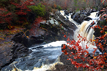 Rogie Falls, Ross-shire, Highlands, Scotland, United Kingdom, Europe