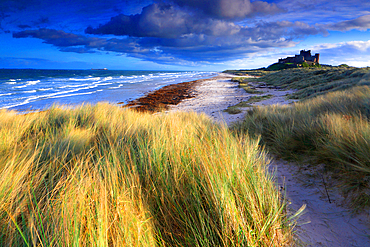 Bamburgh Castle and beach, Northumberland, England, United Kingdom, Europe