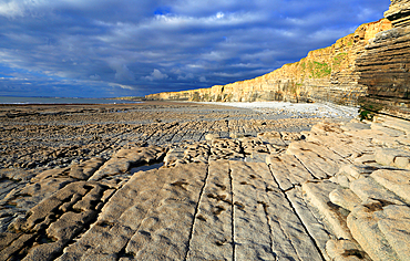 Cliffs at Nash Point, Glamorgan Heritage Coast, South Wales, United Kingdom, Europe