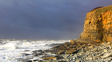 Limestone cliffs at Dunraven Bay, Southerndown, Glamorgan Heritage Coast, South Wales, United Kingdom, Europe