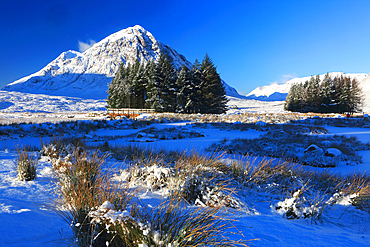 Buachaille Etive Mor, Rannoch Moor, Highland, Scotland, United Kingdom, Europe