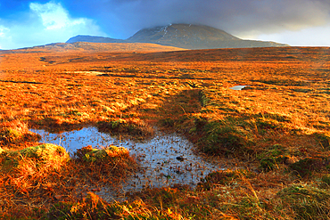 Moorland and mountains of northern Sutherland in winter, Highlands, Scotland, United Kingdom, Europe