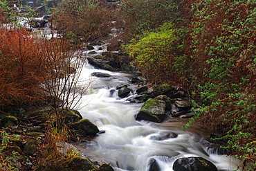 West Lyn River, Glen Lyn Gorge, Lynmouth, North Devon, England, United Kingdom, Europe