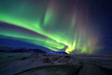 Aurora Borealis (Northern Lights) from Jokulsarlon Glacier Lagoon, Southern Iceland, Polar Regions