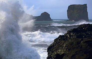 Waves breaking on cliffs at Dyrholaey, near Vik, southern Iceland, Polar Regions