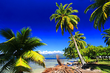 Looking towards Tahiti Iti from east coast Tahiti,French Polynesia, South Pacific, Pacific