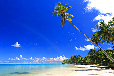 Le Bora Bora by Pearl Resort, Bora Bora, French Polynesia, South Pacific, Pacific