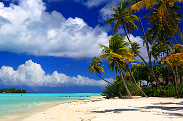 Le Bora Bora by Pearl Resort, Bora Bora, French Polynesia, South Pacific, Pacific