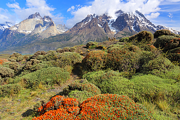 Torres del Paine National Park, Patagonia, Chile, South America