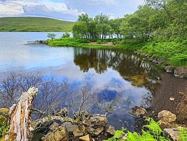 Lochan, Sutherland, Highlands, Scotland, United Kingdom, Europe