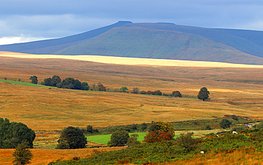 Looking towards Pen-y-Fan, Brecon Beacons, Powys, Wales, United Kingdom, Europe