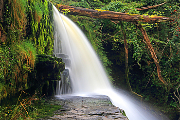 Sgwd Clun-Gwyn waterfall, Ystradfellte, Brecon Beacons, Powys, Wales, United Kingdom, Europe