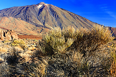 El Teide National Park, Tenerife, Canary Islands, Spain