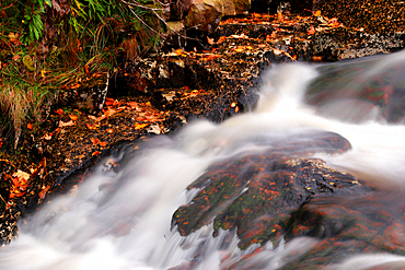 Mountain stream, Glen Etive, Highland, Scotland, United Kingdom, Europe