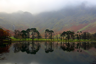 Buttermere, Lake District National Park, UNESCO World Heritage Site, Cumbria, England, United Kingdom, Europe