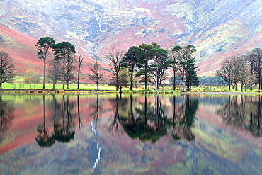 Buttermere, Lake District National Park, UNESCO World Heritage Site, Cumbria, England, United Kingdom, Europe